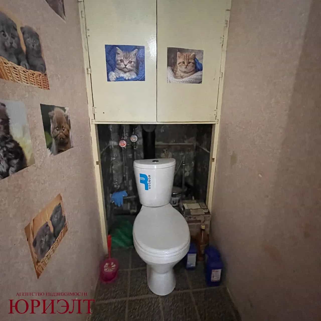 Беларусь, Брестская область, Пинск, Альбрехтовская улица, 2, фото 13