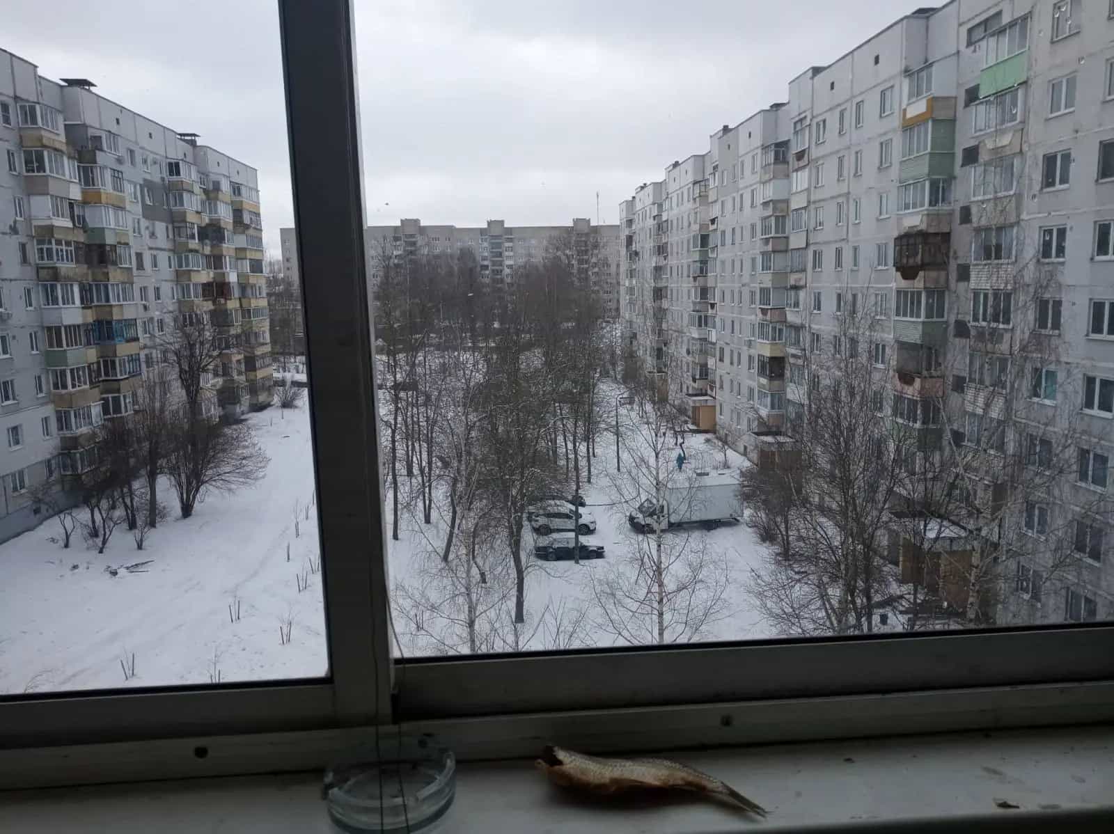 Беларусь, Витебск, улица Терешковой, 30к3, фото 11