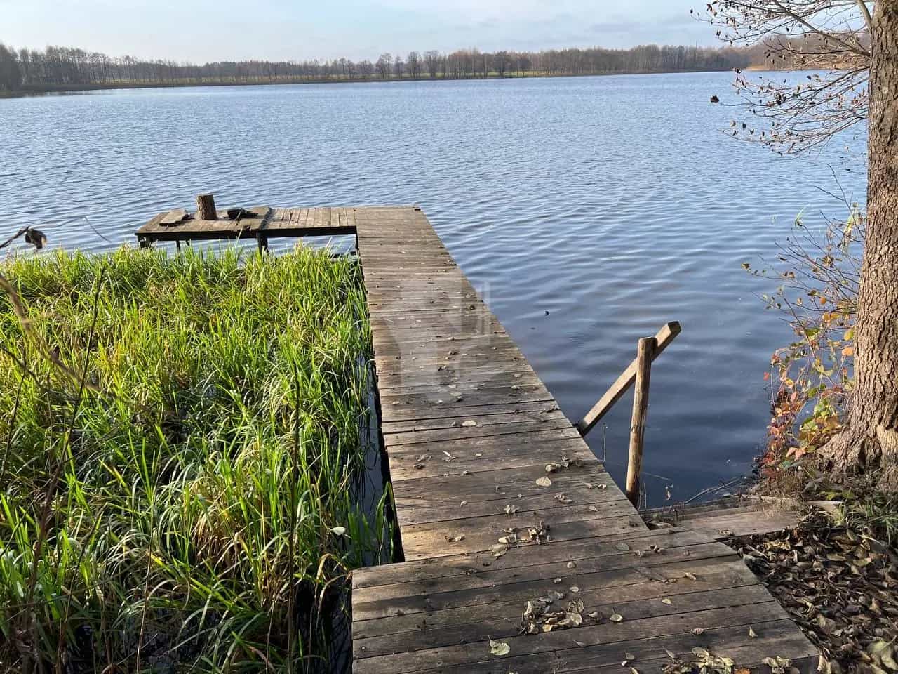 Беларусь, Витебская область, Браславский район, Далёковский сельсовет, деревня Хвосты, 26А, фото 16