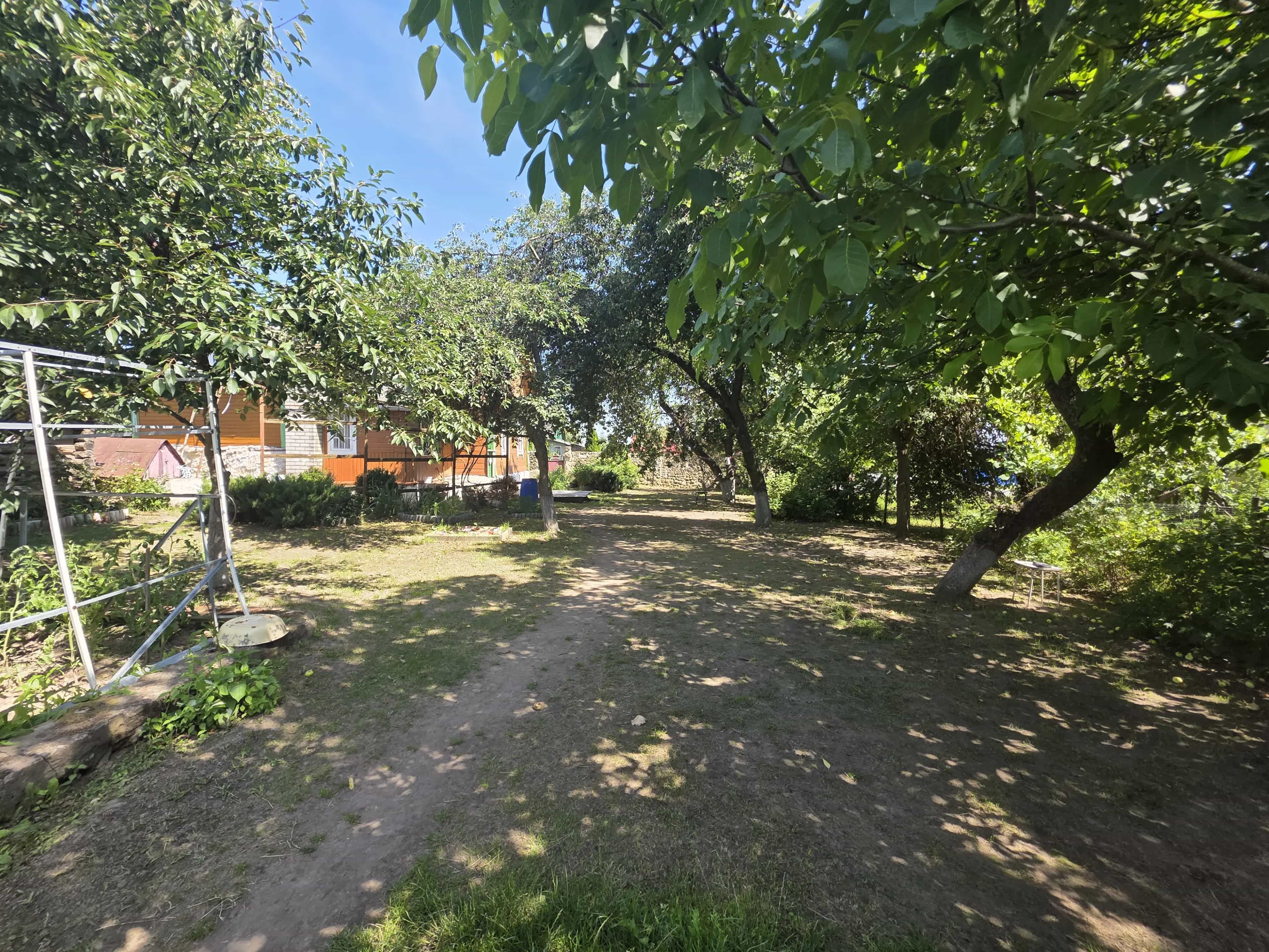 Беларусь, Гродненская область, Слонимский район, Сеньковщинский сельсовет, деревня Воробьевичи, Центральная улица, 45, фото 3