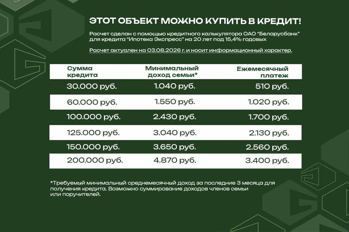 Беларусь, Минский район, Боровлянский сельсовет, агрогородок Лесной, Троицкая улица, 26, фото 30
