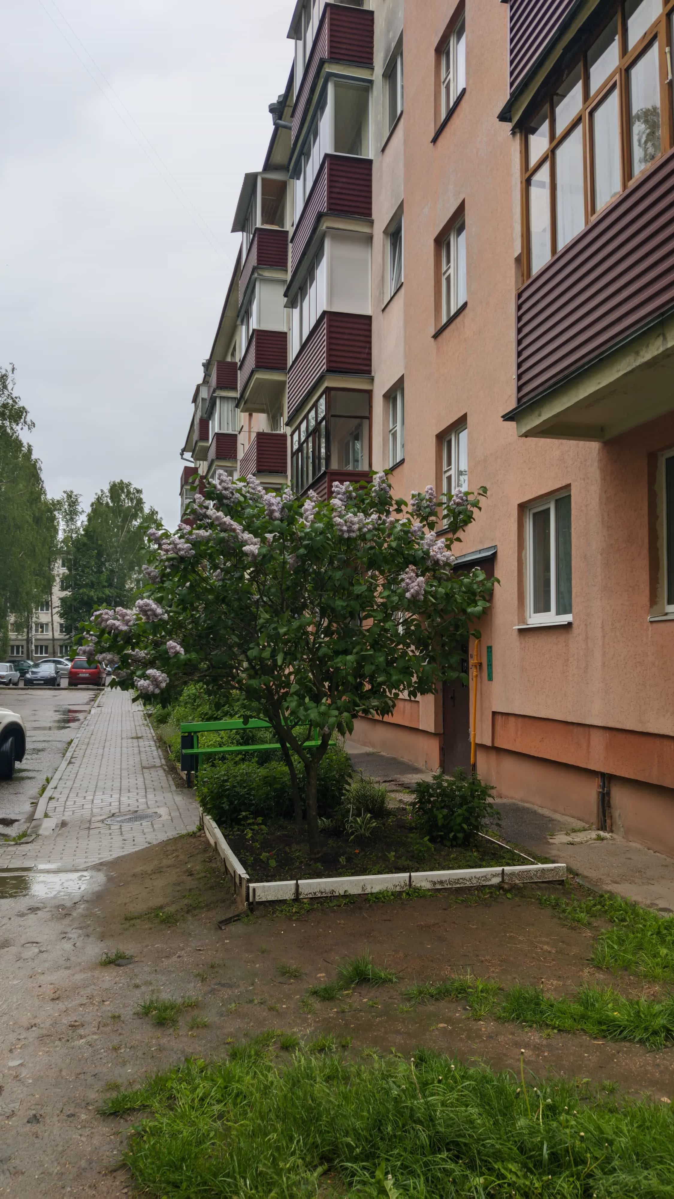 Беларусь, Витебская область, Новополоцк, Школьная улица, 8