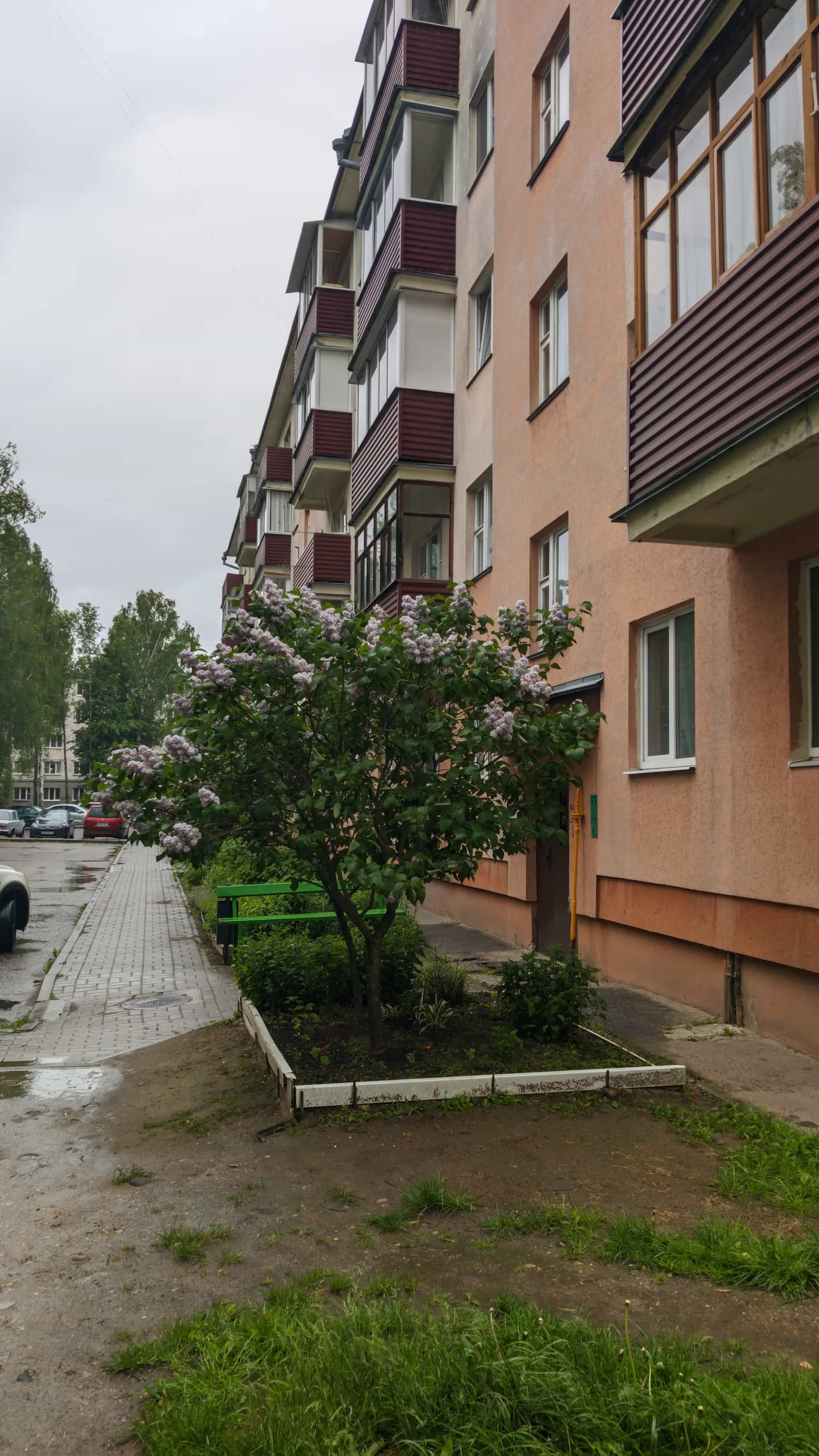 Беларусь, Витебская область, Новополоцк, Школьная улица, 8, фото 2