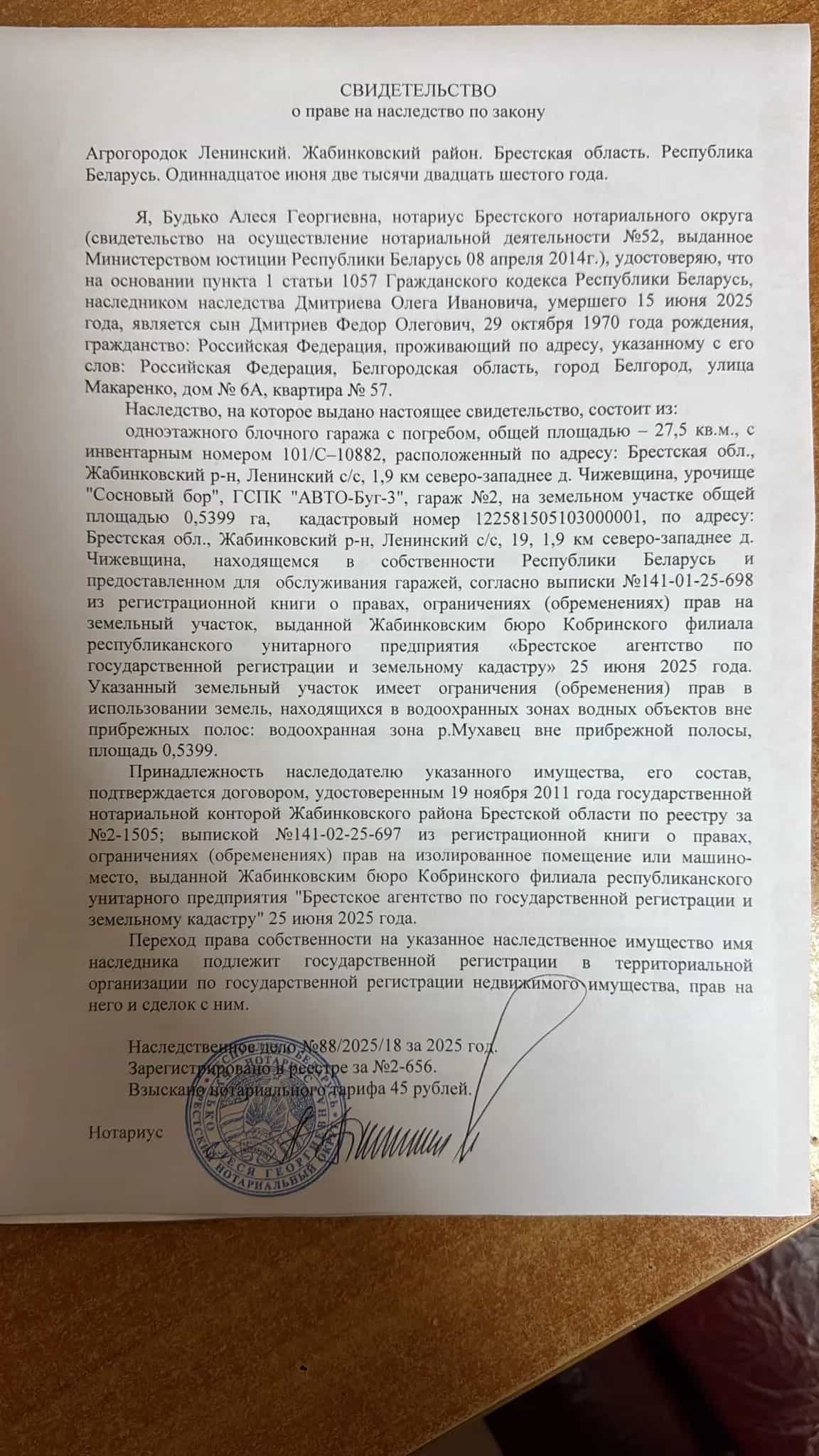 Беларусь, Брестская область, Жабинковский район, Ленинский сельсовет, деревня Ходосы, Центральная улица, 8, фото 18