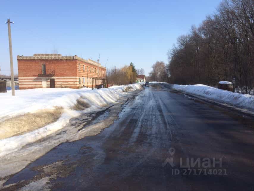 Россия, Тамбовская область, Мичуринский муниципальный округ, село Красивое, Коммунальная улица, 36, фото 3