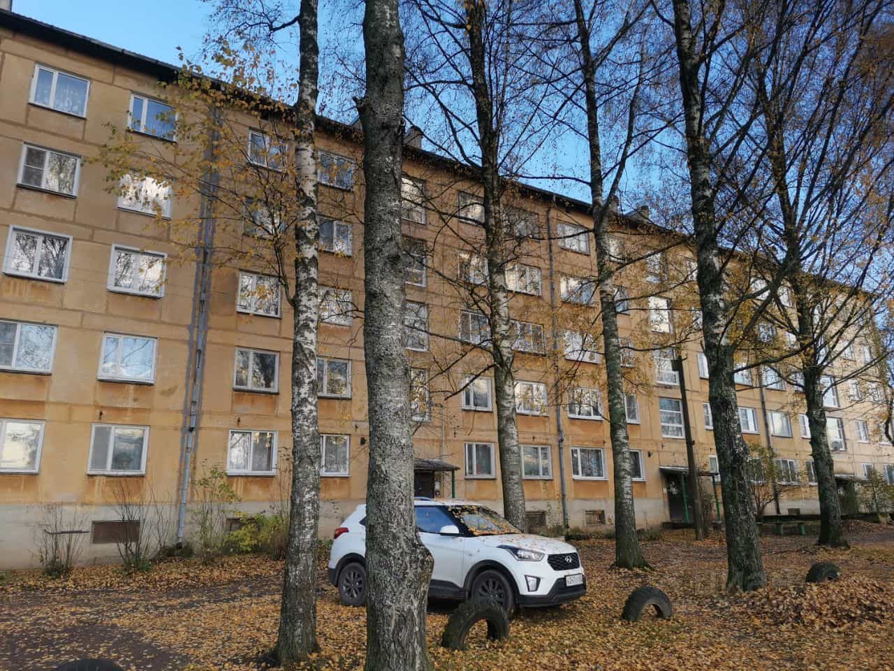 Россия, Псковская область, Остров, Загородная улица, 20, фото 5