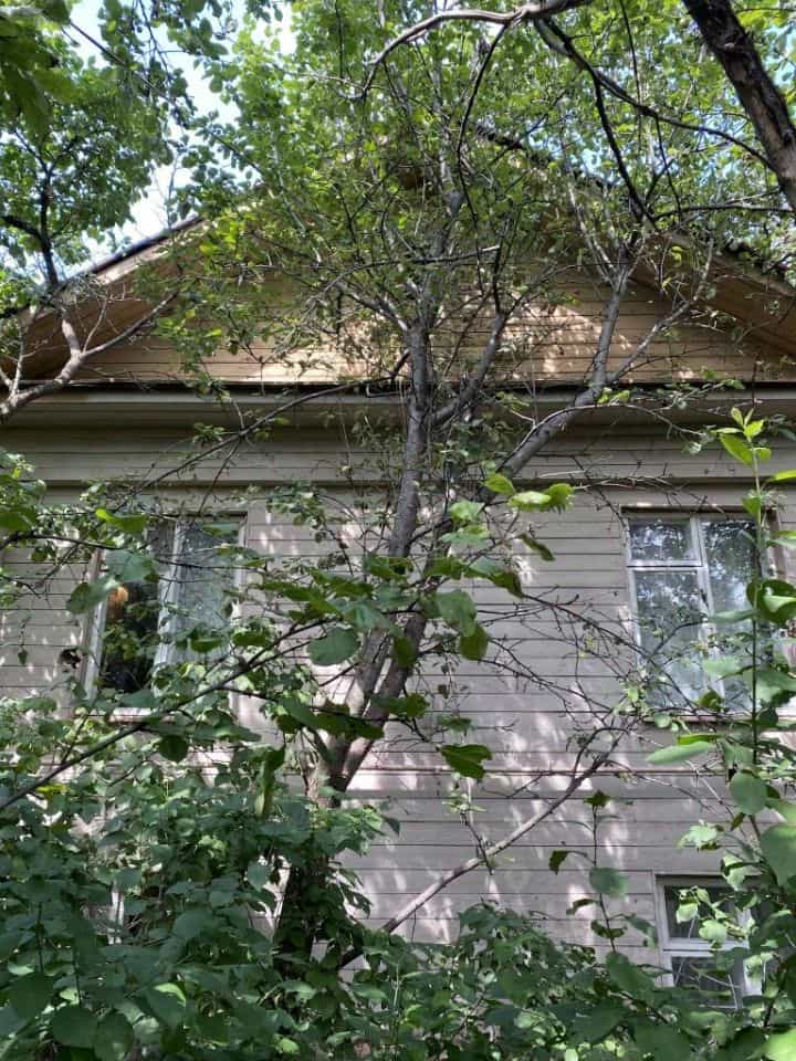 Россия, Кострома, Комсомольская улица, 72