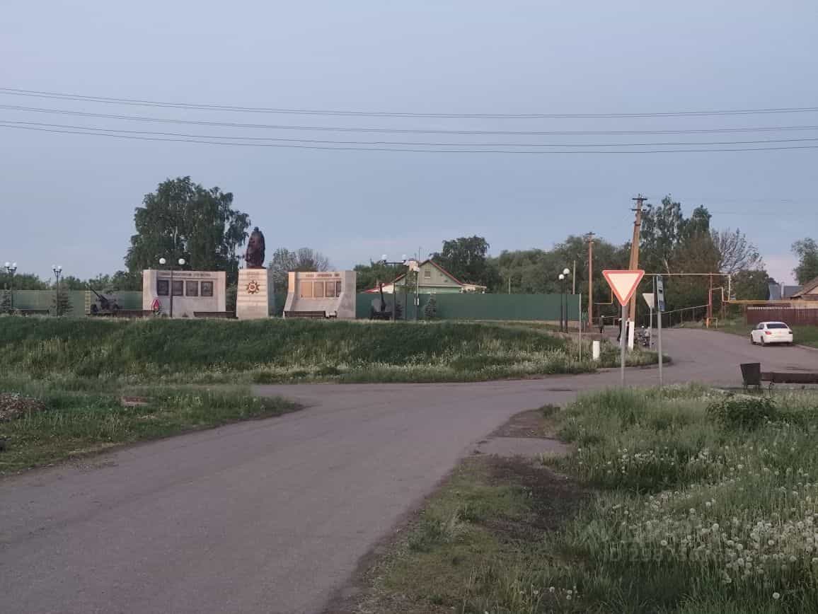Россия, Тамбовская область, Кирсановский муниципальный округ, село Соколово, Центральная улица, 4, фото 15