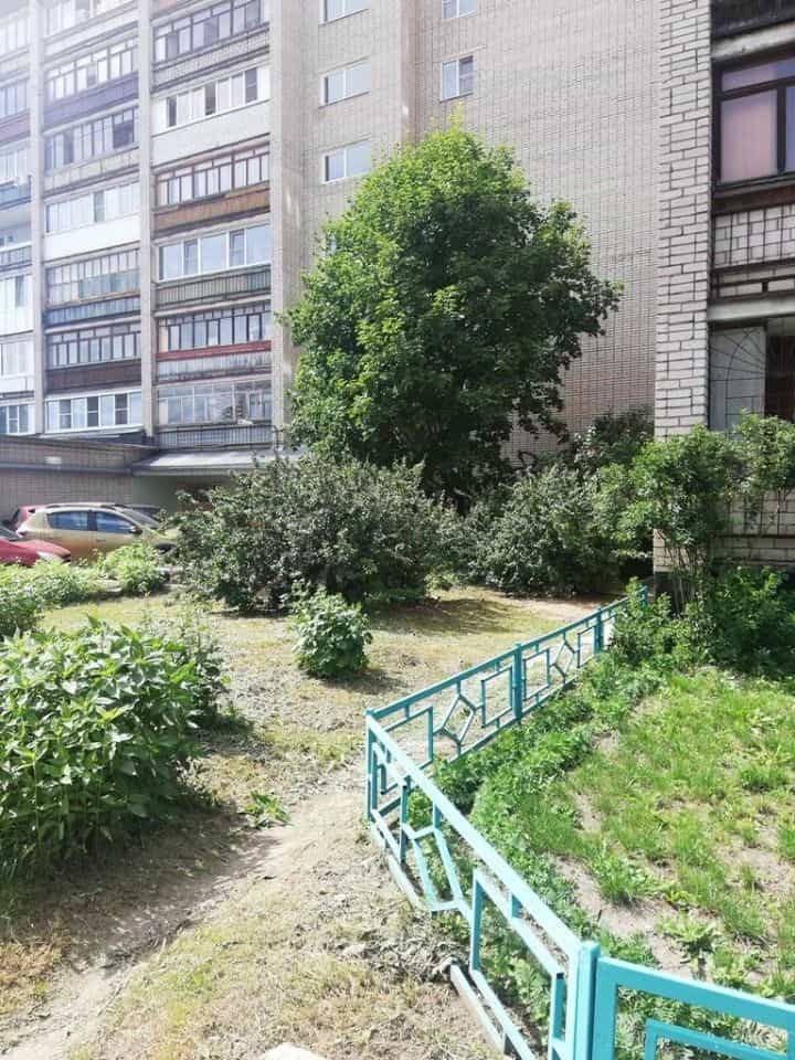 Россия, Великий Новгород, Западный район, улица Кочетова, 47, фото 39