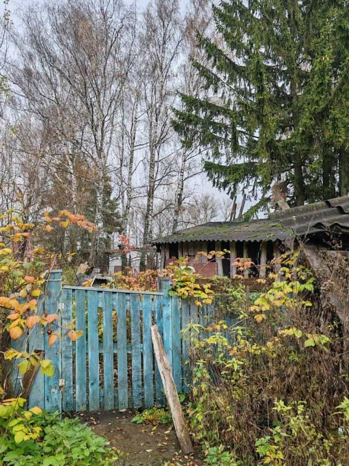 Россия, Орловская область, Мценский район, село Тельчье, Комсомольская улица, 11, фото 14
