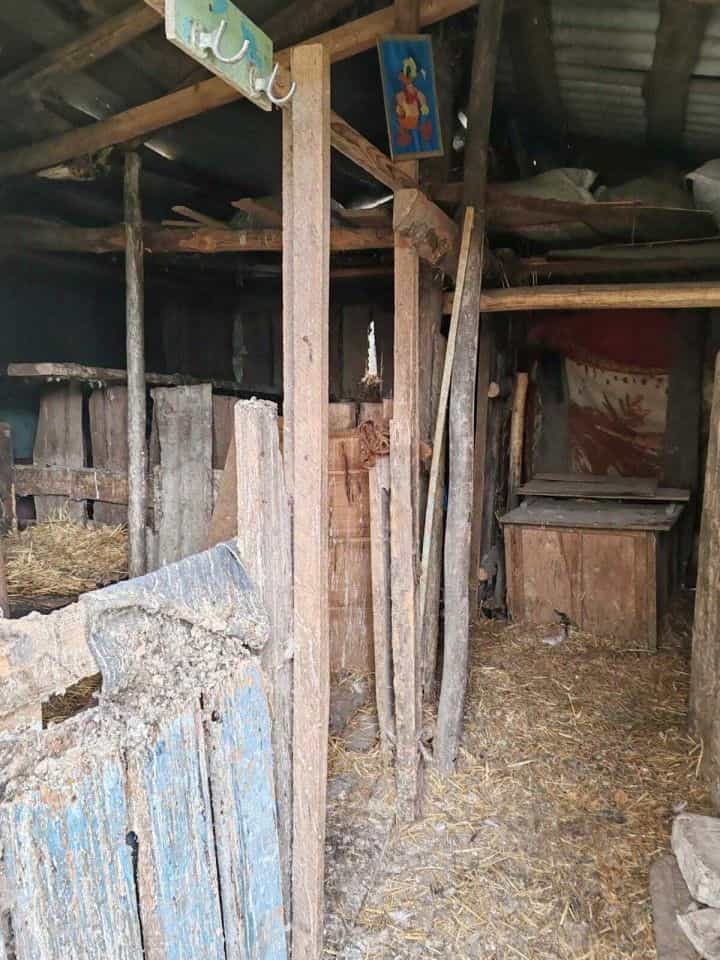 Россия, Орловская область, Мценский район, село Тельчье, Комсомольская улица, 11, фото 24