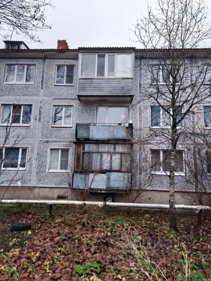 Россия, Новгородский муниципальный округ, Ермолинское сельское поселение, деревня Ермолино, 42