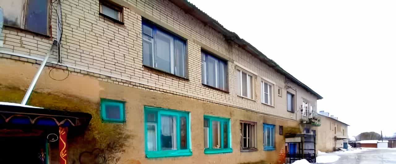 Россия, Новгородская область, Солецкий муниципальный округ, деревня Каменка (Дубровское сельское поселение), Шелонская улица, 10, фото 5