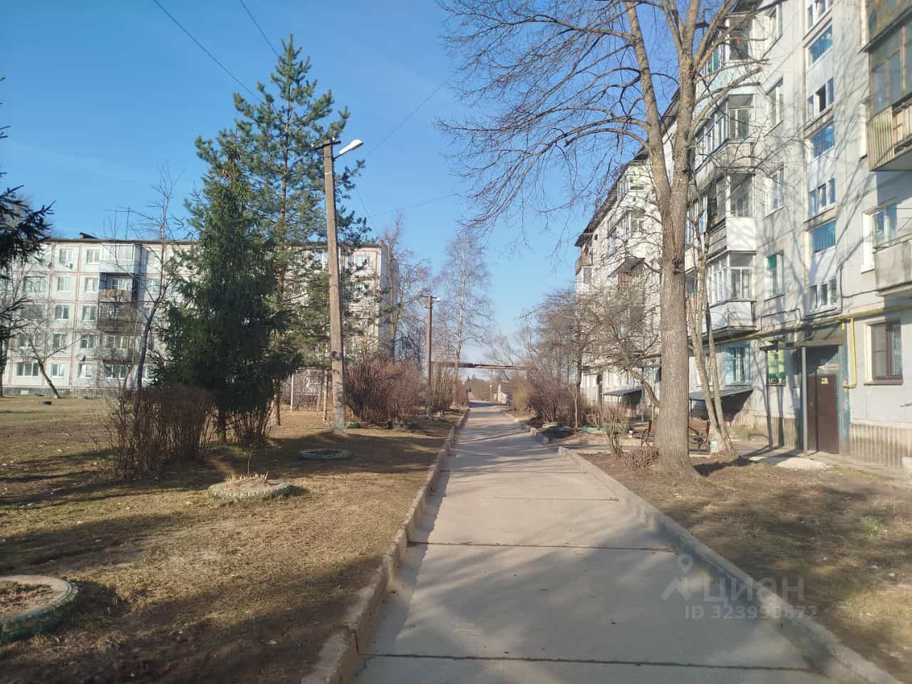 Россия, Новгородский муниципальный округ, Трубичинское сельское поселение, деревня Чечулино, Воцкая улица, 5, фото 22