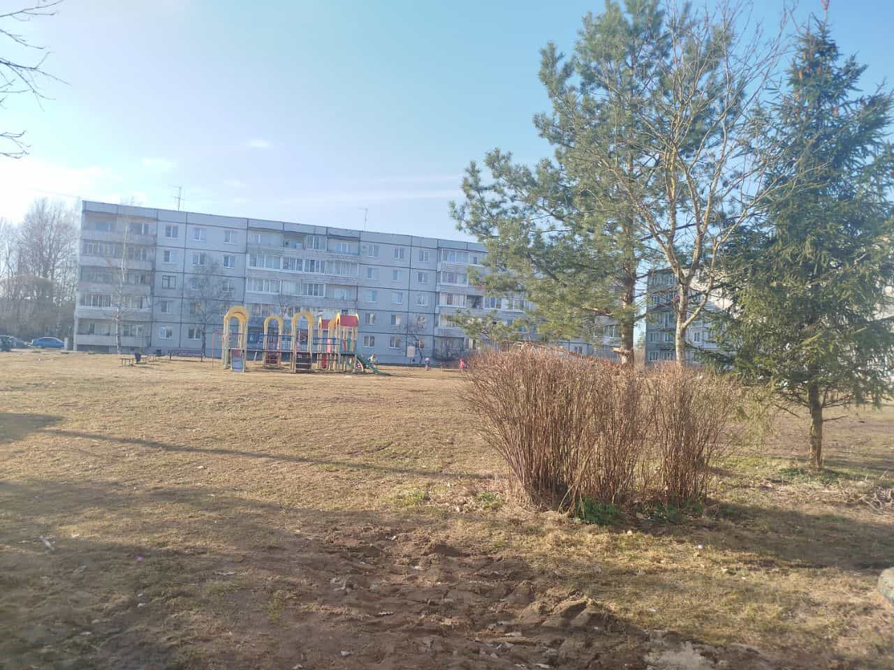 Россия, Новгородский муниципальный округ, Трубичинское сельское поселение, деревня Чечулино, Воцкая улица, 5, фото 23