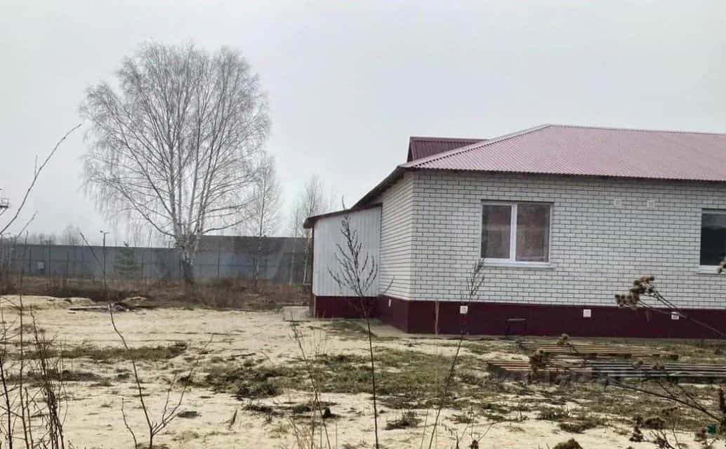 Россия, Республика Мордовия, Зубово-Полянский район, Сосновское сельское поселение, посёлок Сосновка, Центральная улица, 12Б, фото 2