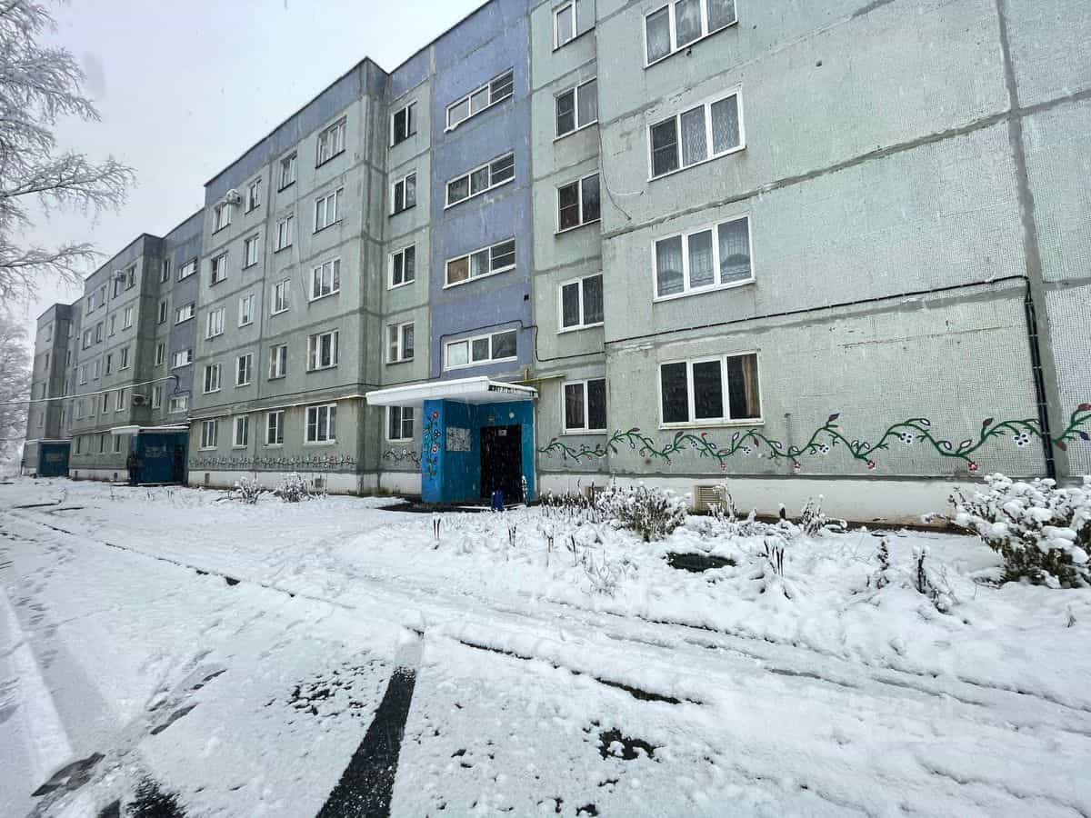 Россия, Новгородский муниципальный округ, Савинское сельское поселение, деревня Божонка, Новая улица, 9, фото 2