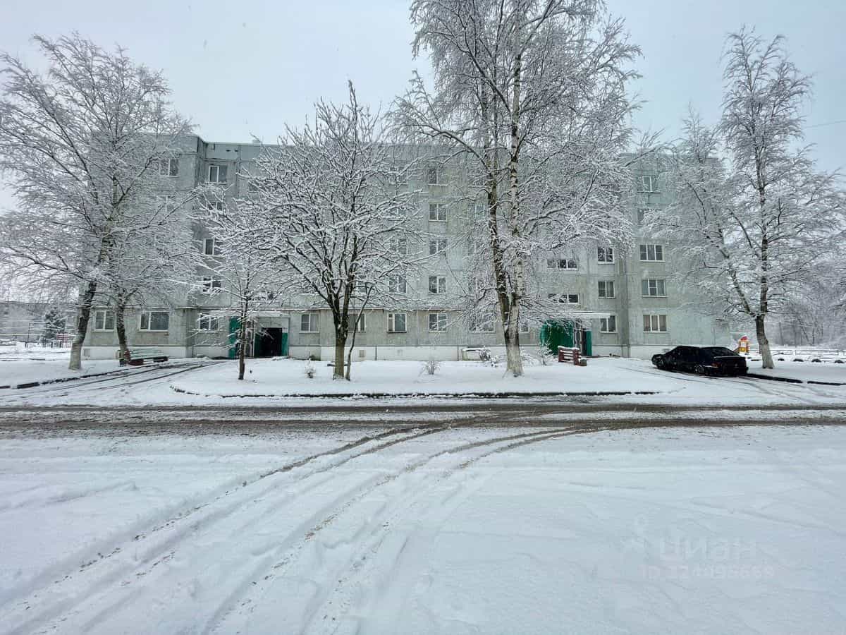 Россия, Новгородский муниципальный округ, Савинское сельское поселение, деревня Божонка, Новая улица, 13, фото 3