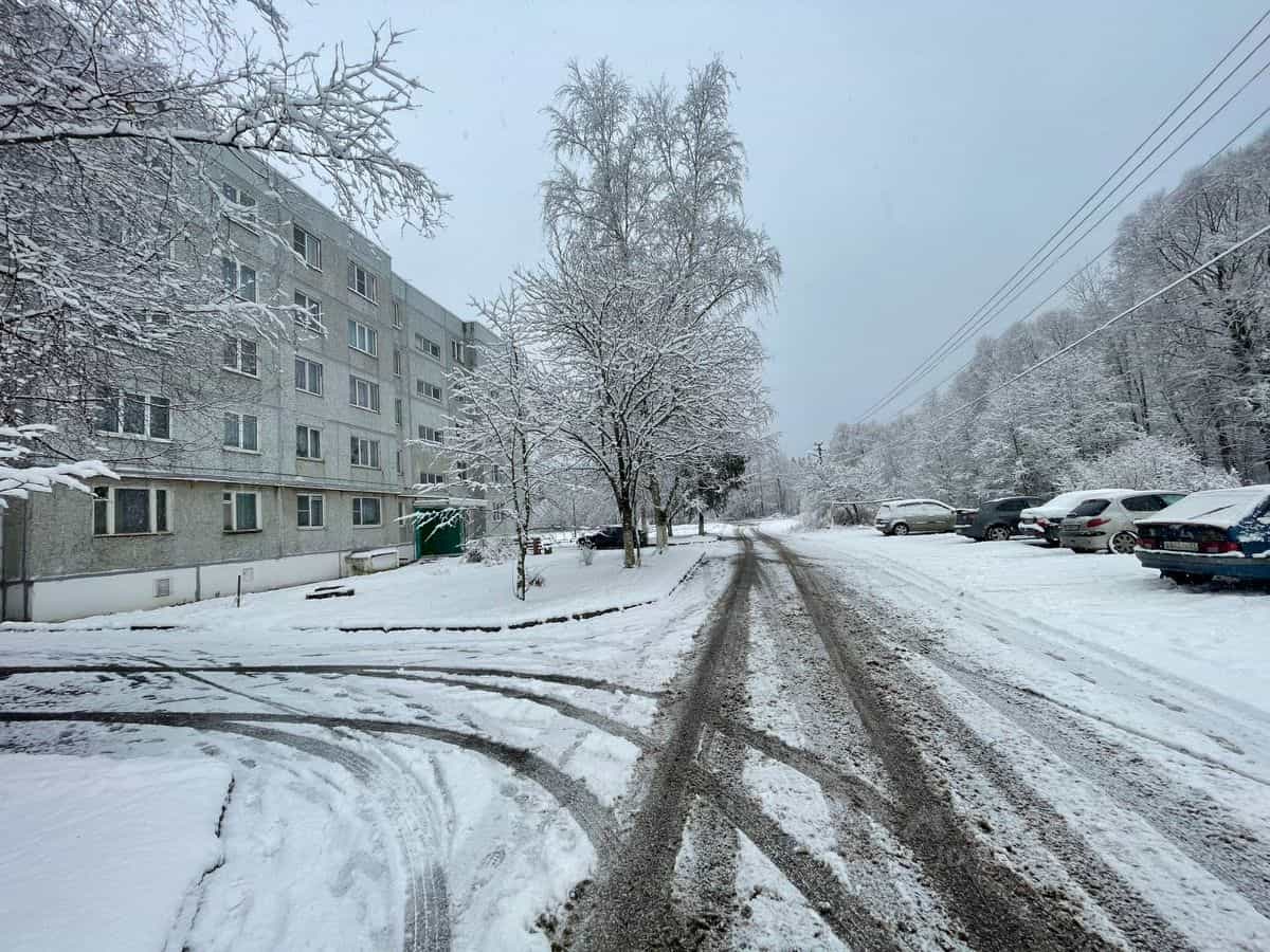 Россия, Новгородский муниципальный округ, Савинское сельское поселение, деревня Божонка, Новая улица, 13, фото 5