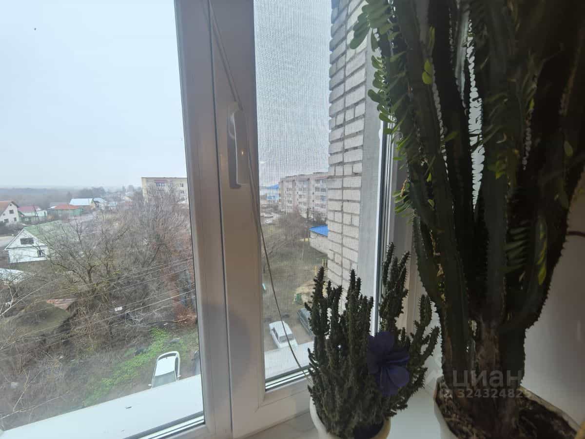 Россия, Тамбовская область, Рассказово, улица Пушкина, 97, фото 13
