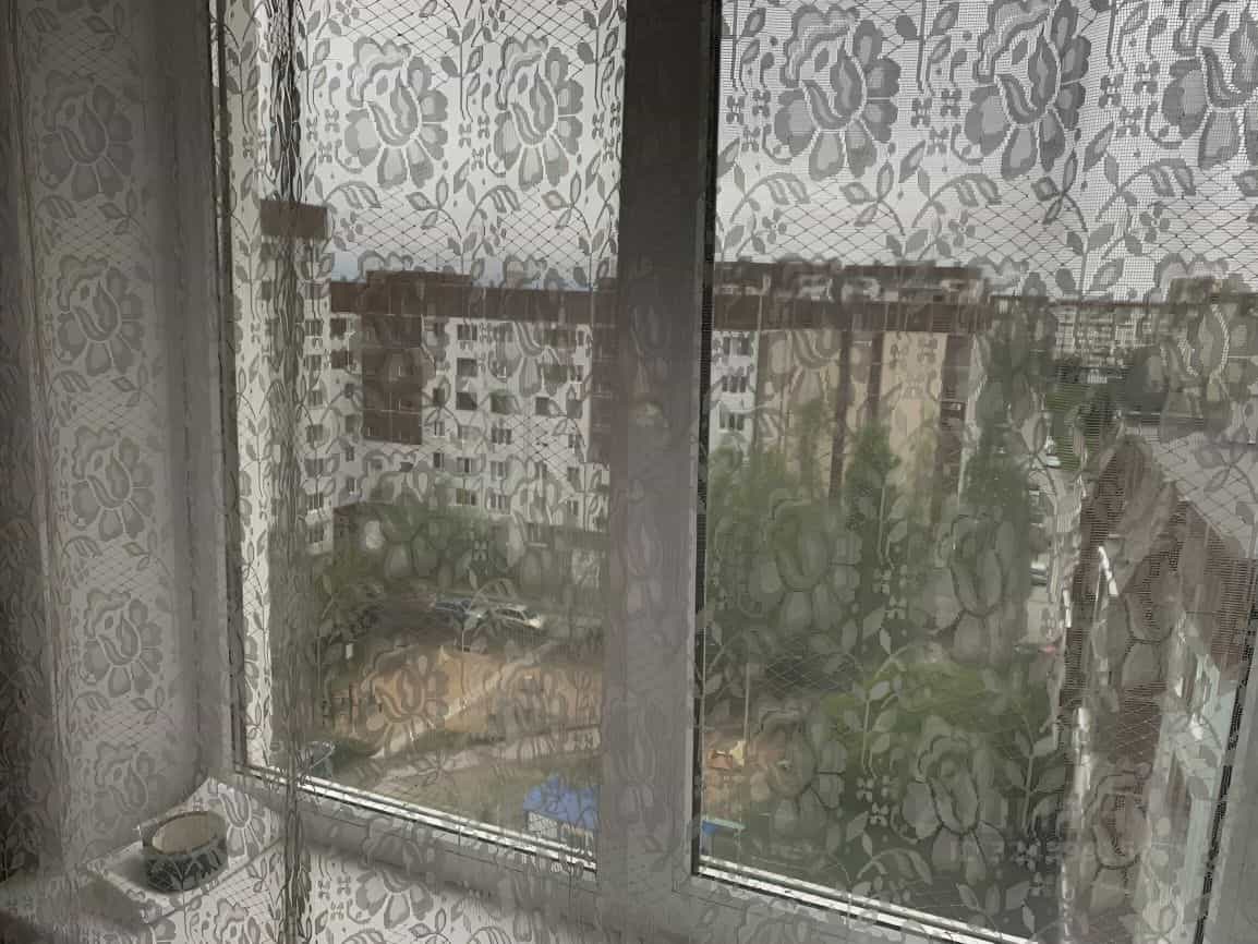 Россия, Псков, улица Рокоссовского, 2, фото 8