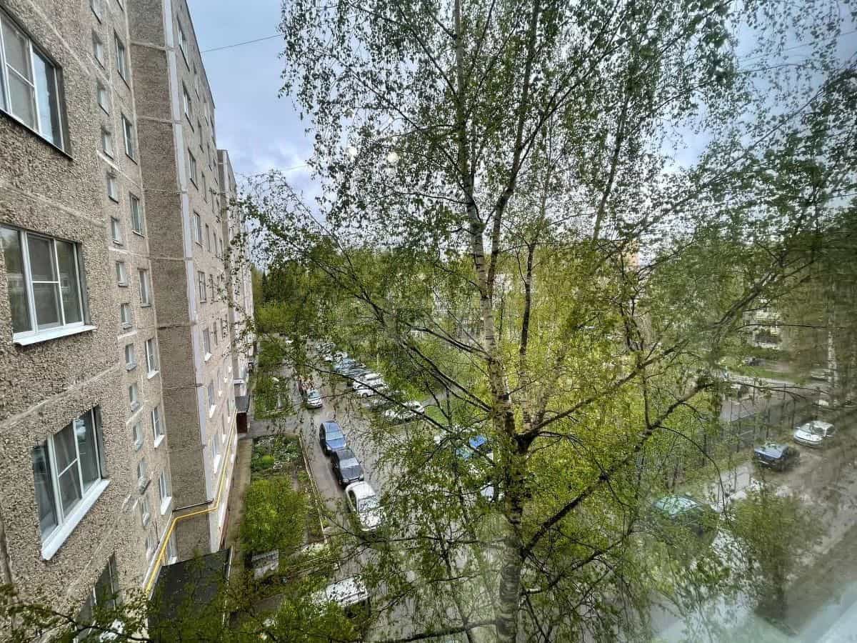 Россия, Кострома, микрорайон Паново, 14А, фото 19