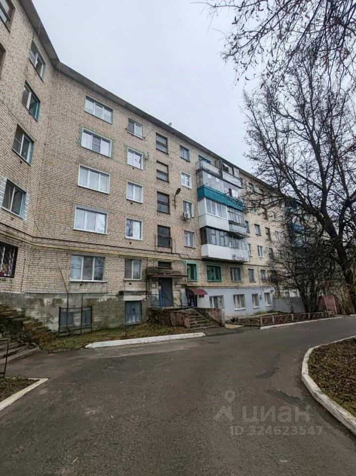 Россия, Орловская область, Мценский район, Отрадинское сельское поселение, село Отрадинское, 16, фото 15