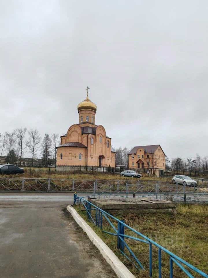 Россия, Орловская область, Мценский район, Отрадинское сельское поселение, село Отрадинское, 16, фото 17