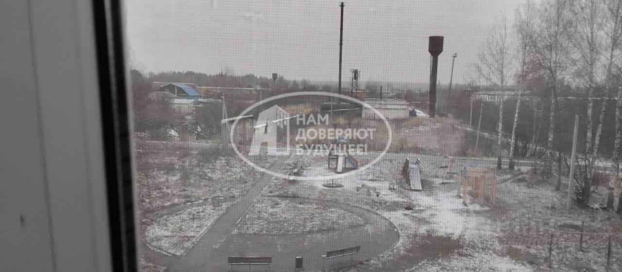 Россия, Удмуртская Республика, Можгинский район, село Черёмушки, улица Макаренко, 11, фото 9