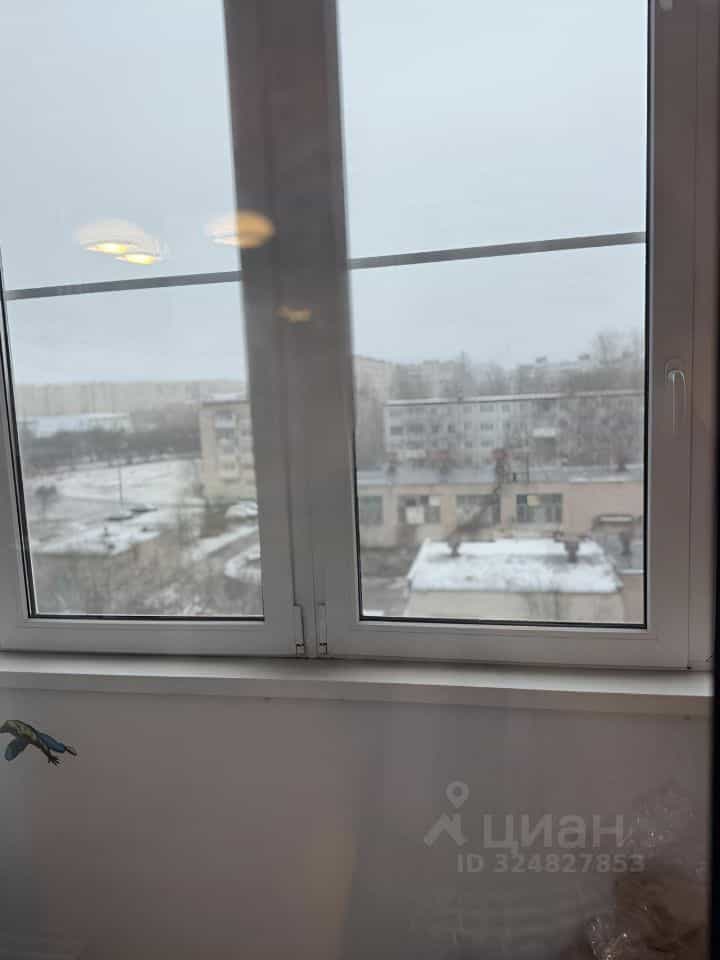 Россия, Великий Новгород, Нехинская улица, 26к3, фото 17
