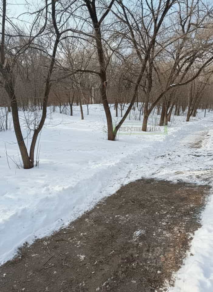 Россия, Приморский край, Партизанск, улица Мирошниченко, 17А, фото 7