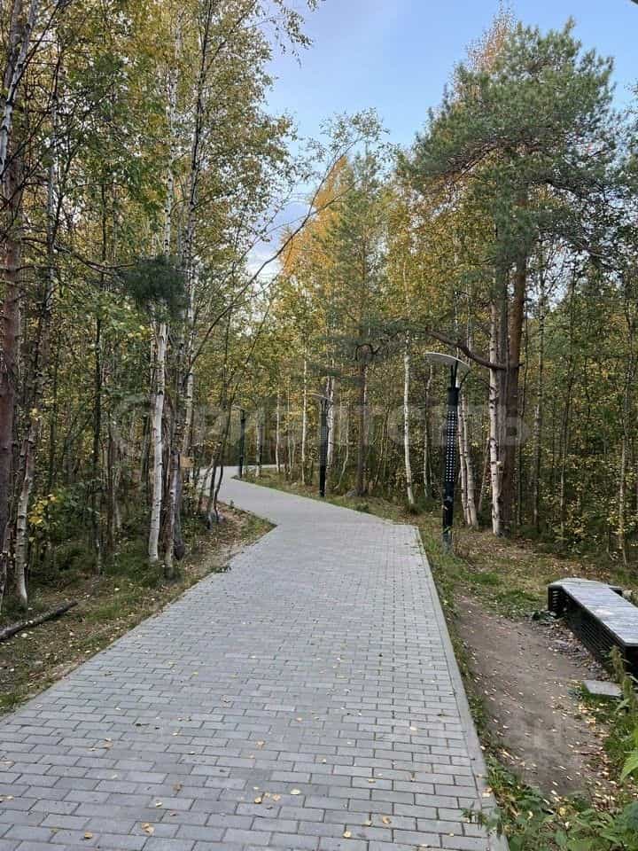 Россия, Мурманская область, Мончегорск, улица Ферсмана, 13, фото 12