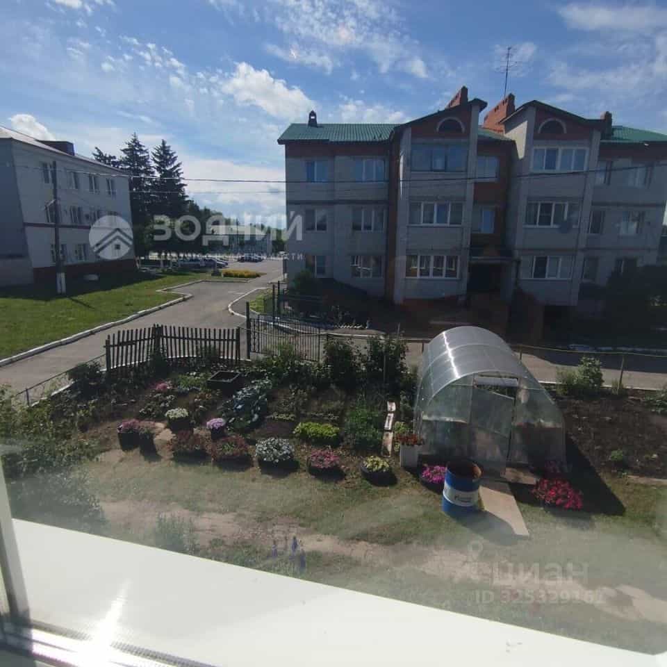 Россия, Чувашская Республика — Чувашия, село Красноармейское, улица Васильева, 8, фото 15
