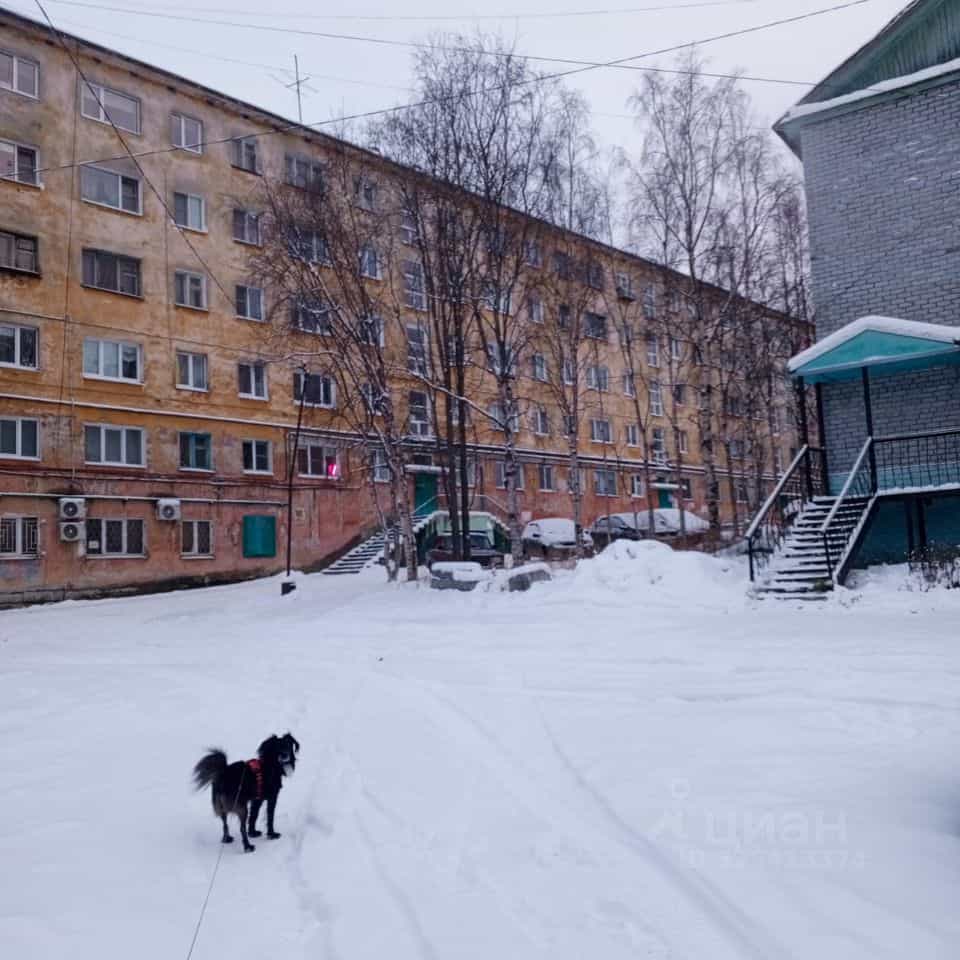 Россия, Мурманская область, Кандалакша, Первомайская улица, 26, фото 23
