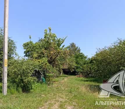 Беларусь, Брестская область, Жабинковский район, агрогородок Ракитница, улица 24-го съезда КПСС, 39, фото 7