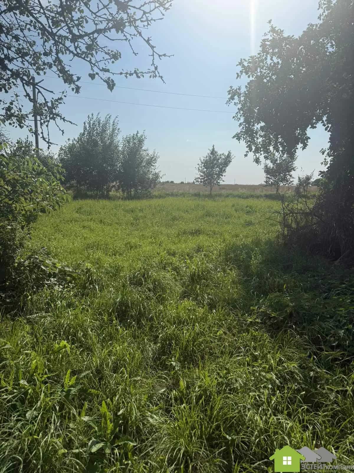 Беларусь, Гродненская область, Лидский район, Дитвянский сельсовет, деревня Новицкие, 25, фото 4
