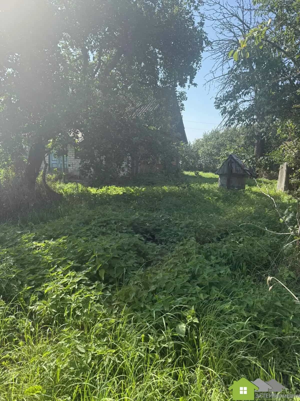 Беларусь, Гродненская область, Лидский район, Дитвянский сельсовет, деревня Новицкие, 25, фото 5