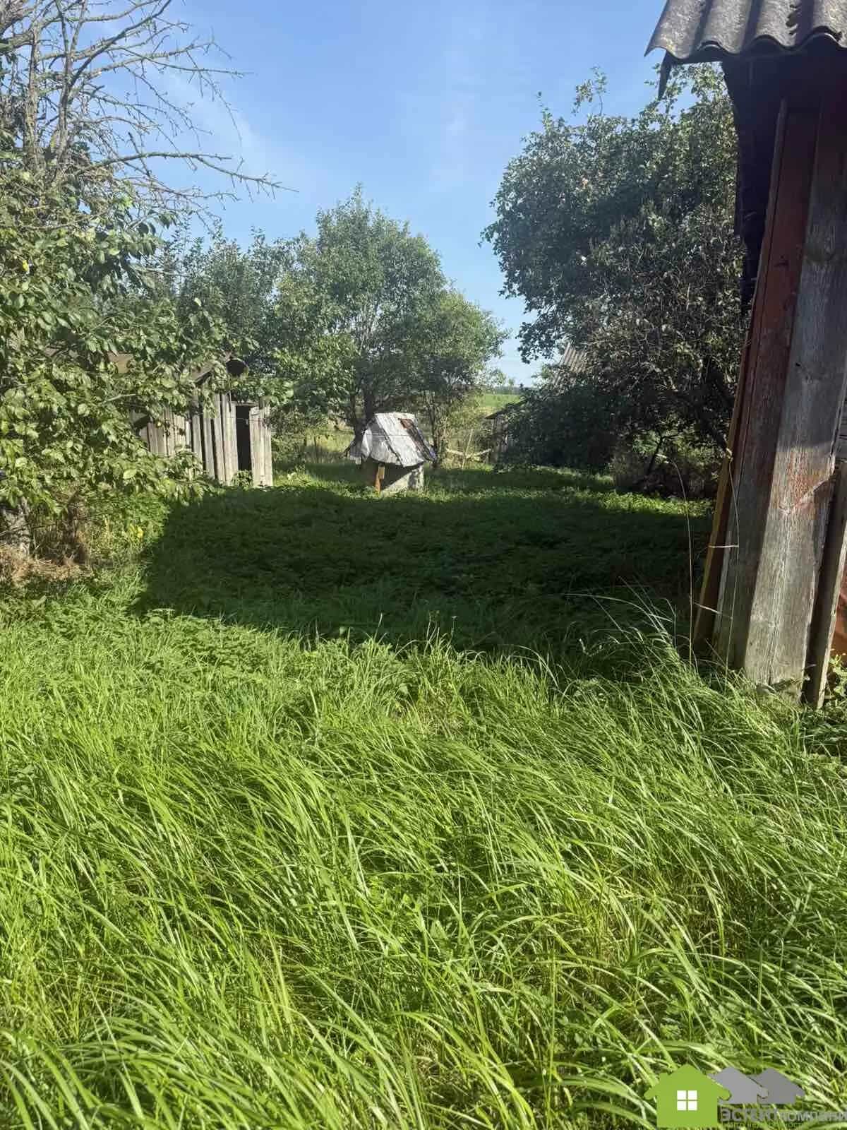 Беларусь, Гродненская область, Лидский район, Дитвянский сельсовет, деревня Новицкие, 25, фото 6