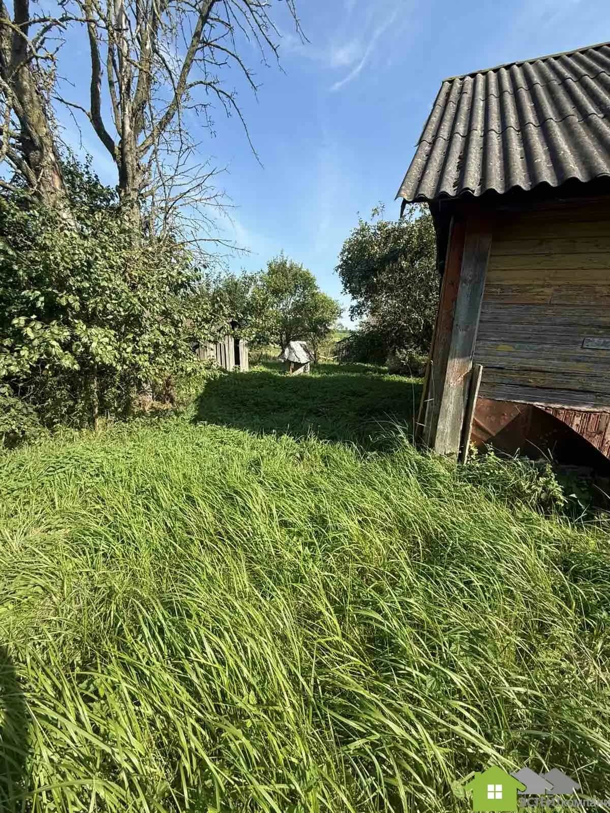 Беларусь, Гродненская область, Лидский район, Дитвянский сельсовет, деревня Новицкие, 25, фото 9