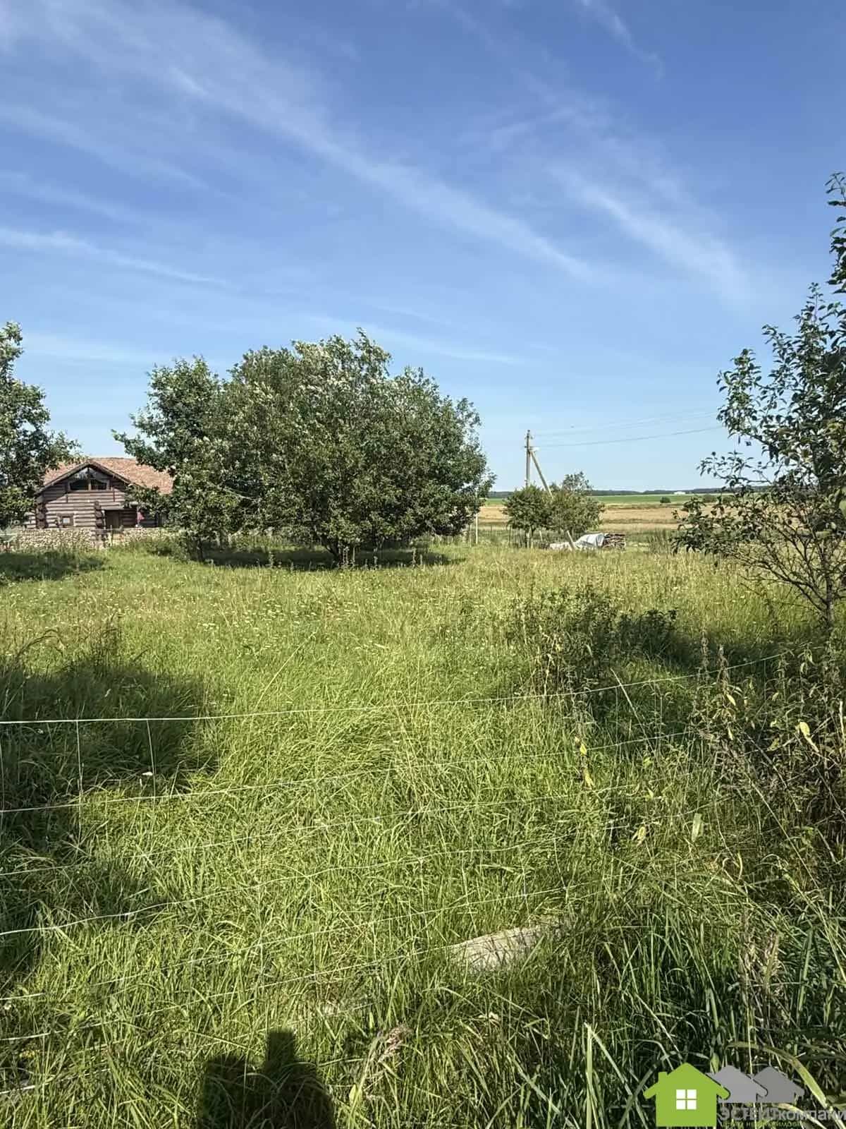 Беларусь, Гродненская область, Лидский район, Дитвянский сельсовет, деревня Новицкие, 25, фото 10