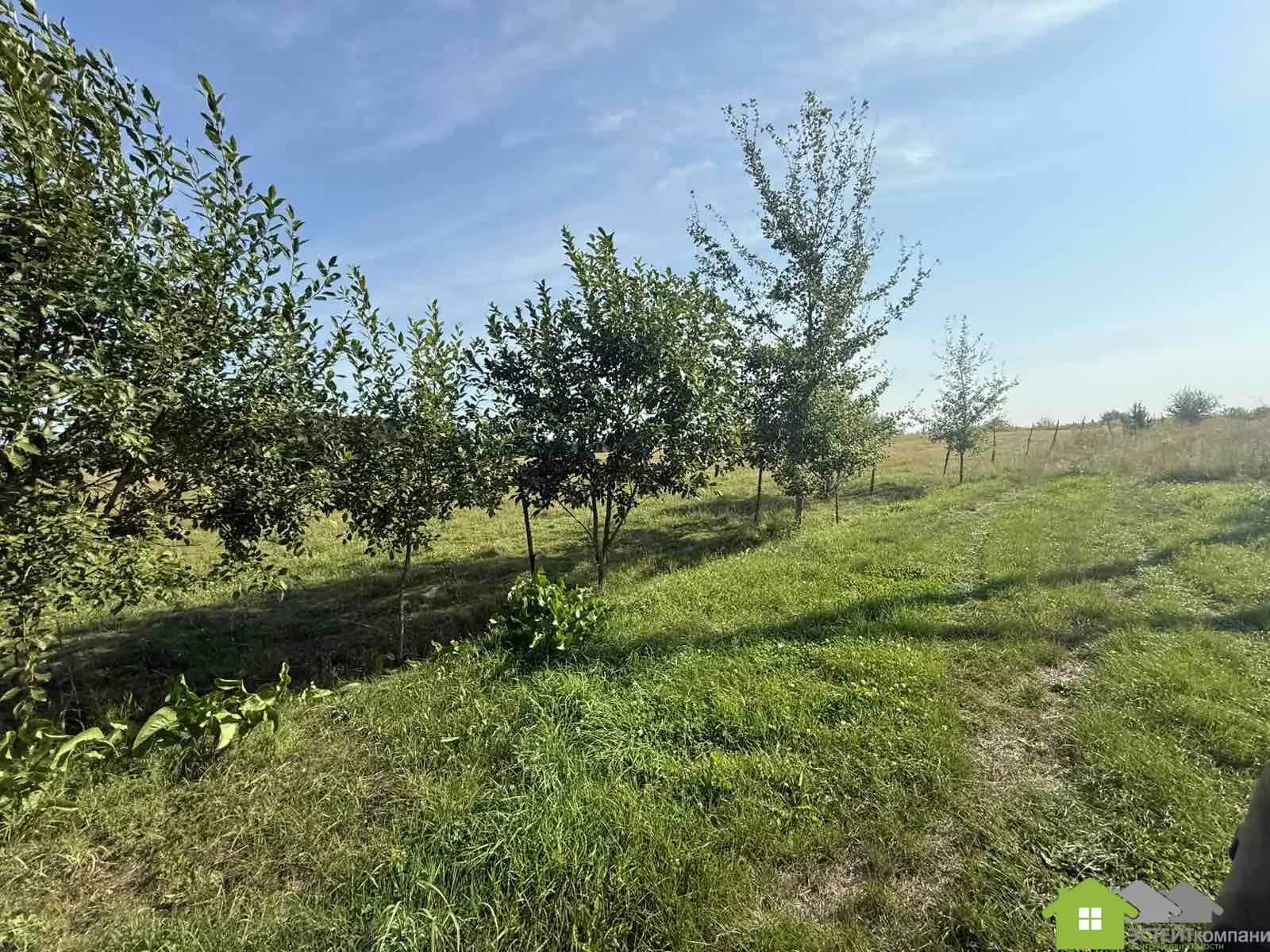 Беларусь, Гродненская область, Лидский район, Дитвянский сельсовет, деревня Новицкие, 25, фото 14