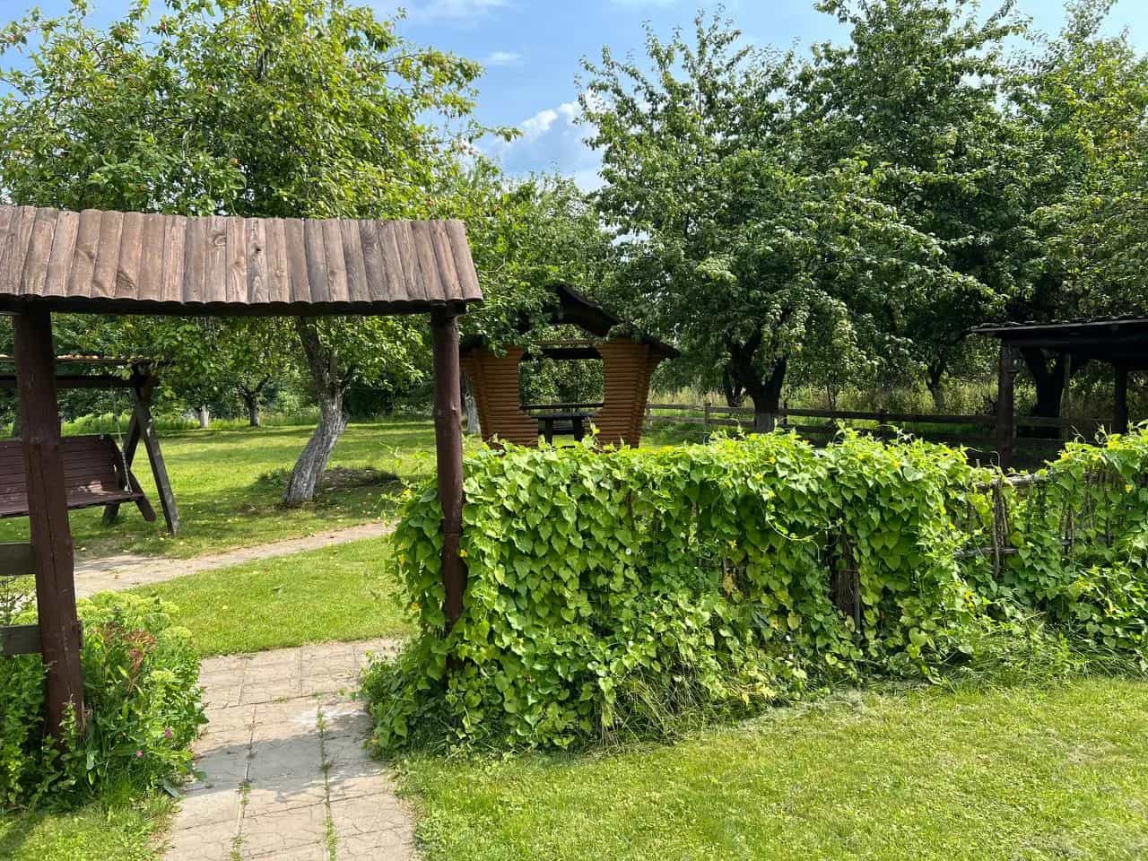 Беларусь, Витебская область, Браславский район, Далёковский сельсовет, деревня Хвосты, 26А, фото 10