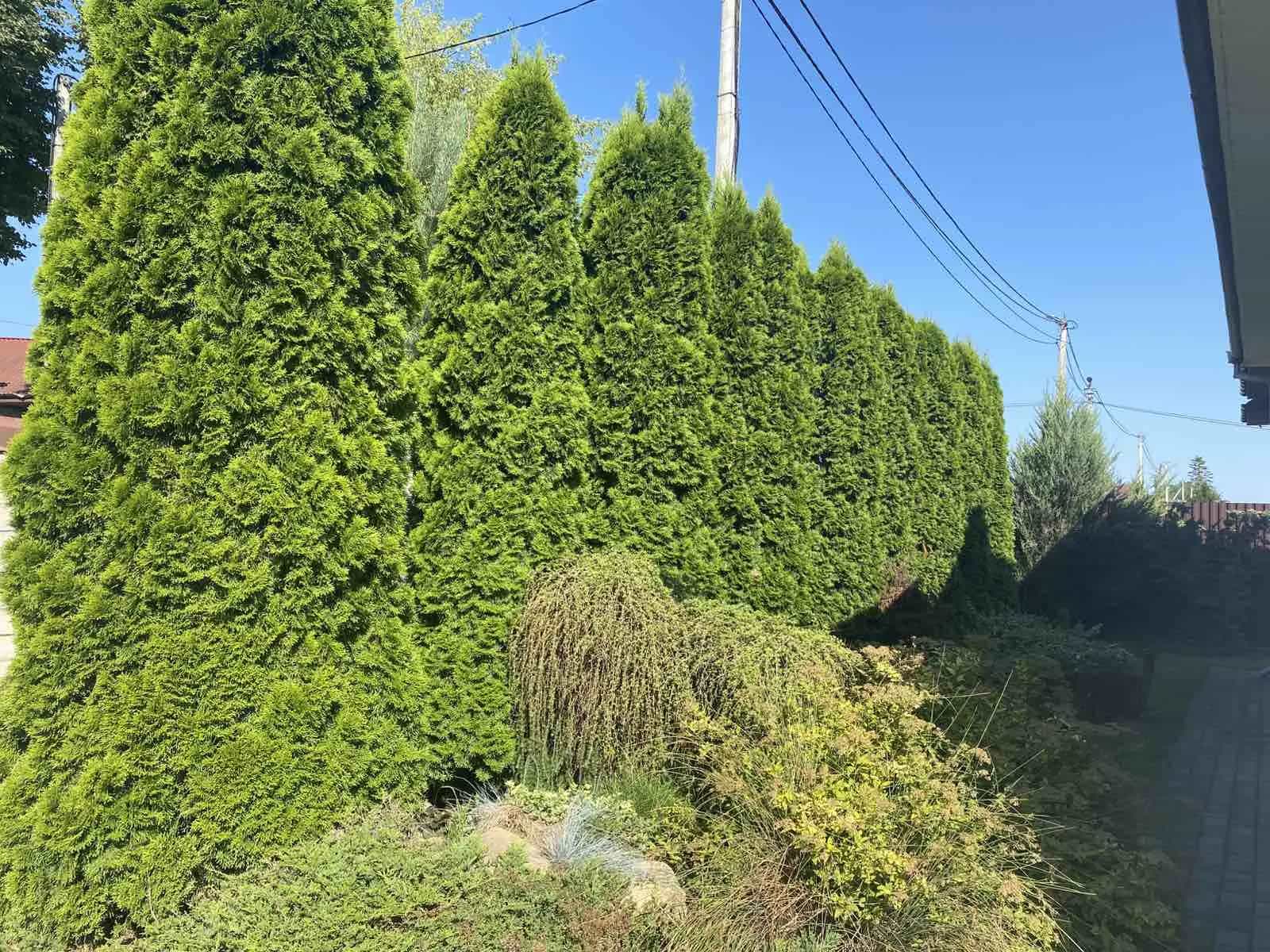 Беларусь, Брестская область, Барановичи, Загородная улица, 38, фото 7