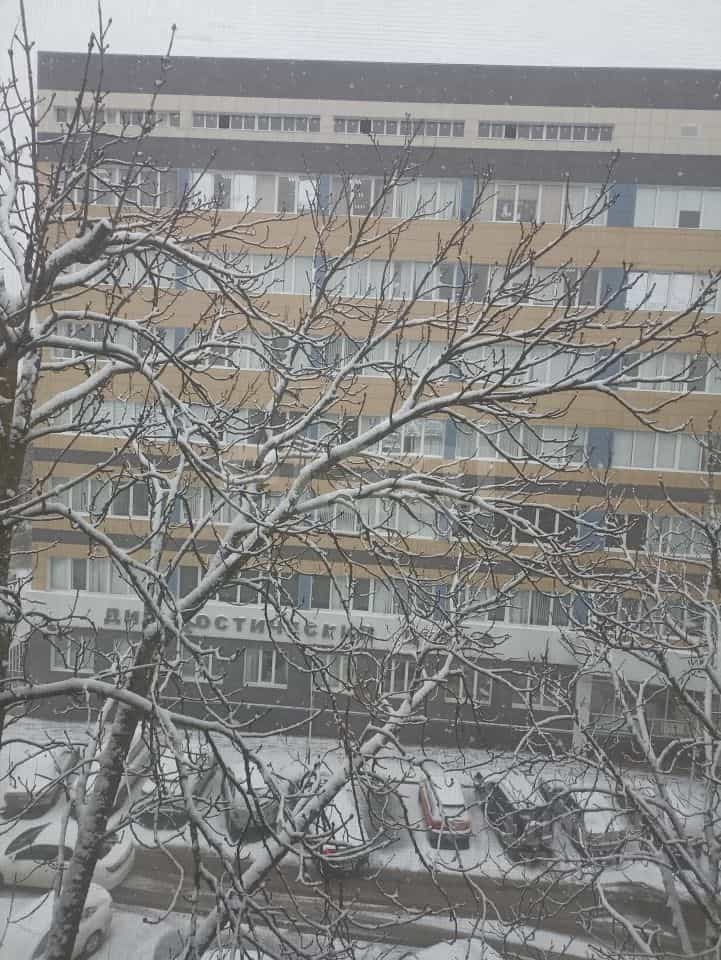 Россия, Республика Адыгея (Адыгея), Майкоп, улица Жуковского, 5, фото 8