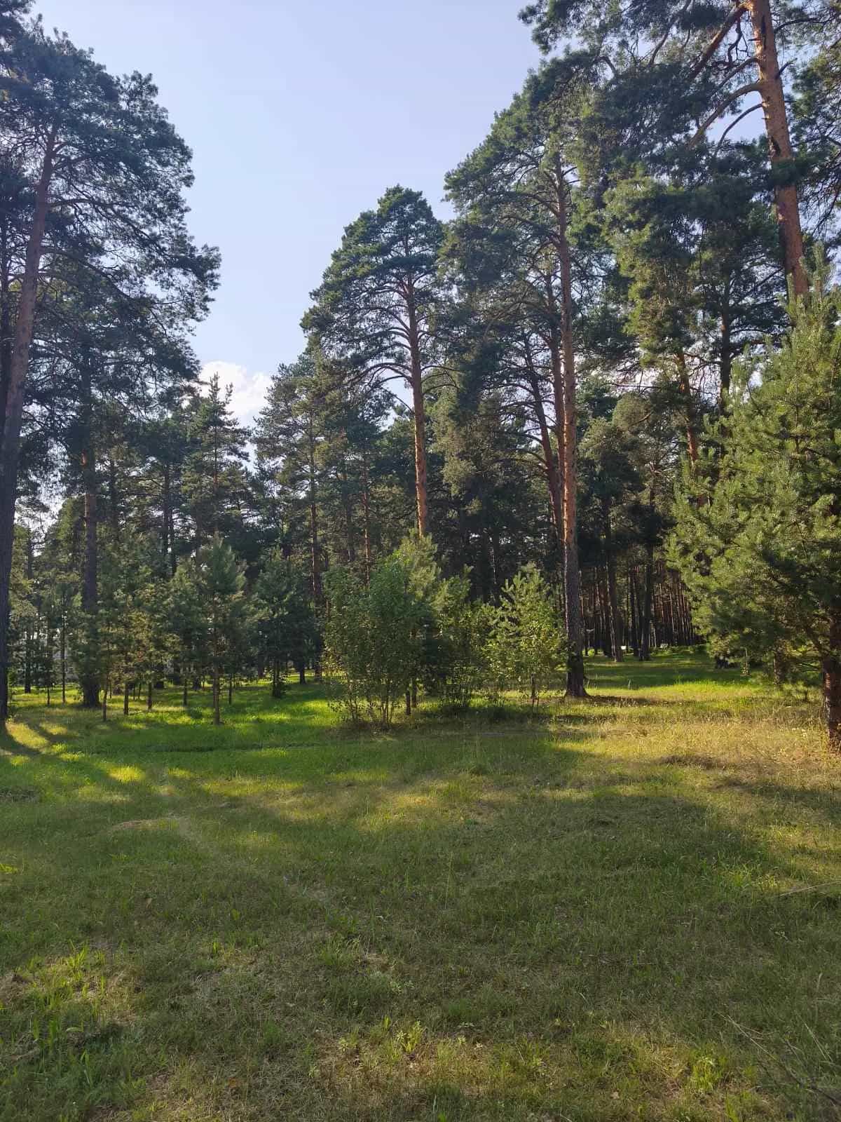 Беларусь, Минская область, Логойский район, Плещеницкий сельсовет, городской посёлок Плещеницы, Советская улица, 2, фото 2