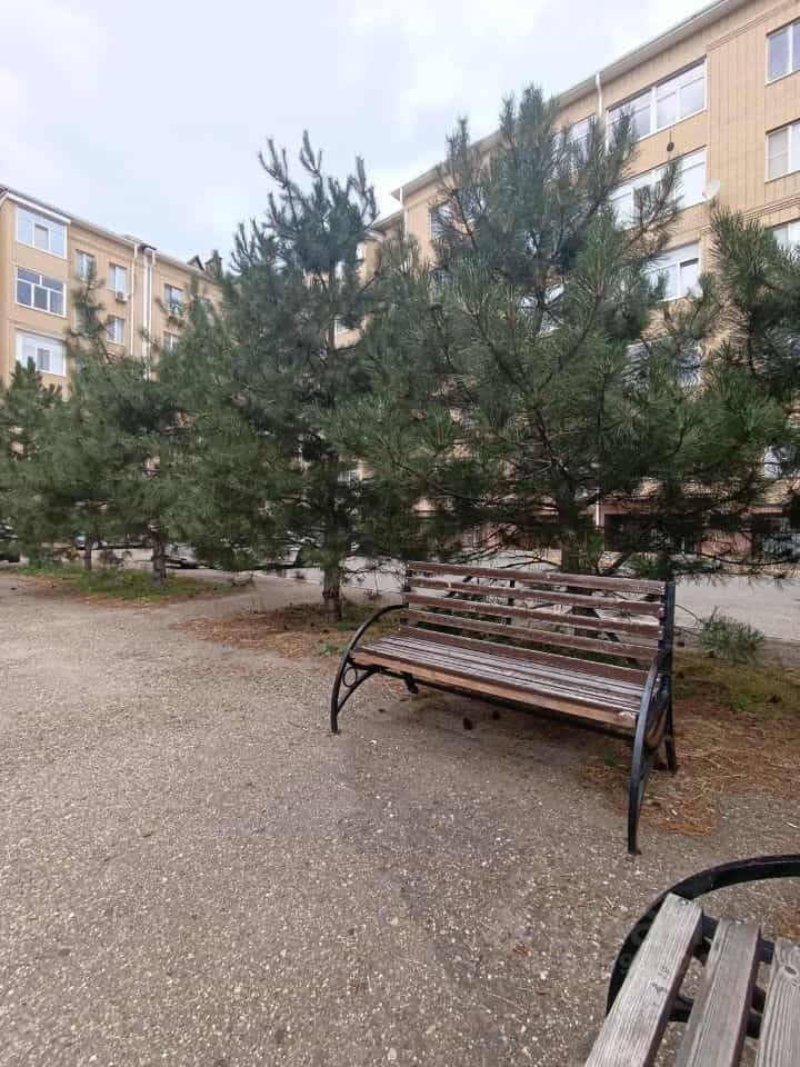 Россия, Республика Калмыкия, Элиста, улица А.С. Пушкина, 3Ак1, фото 2