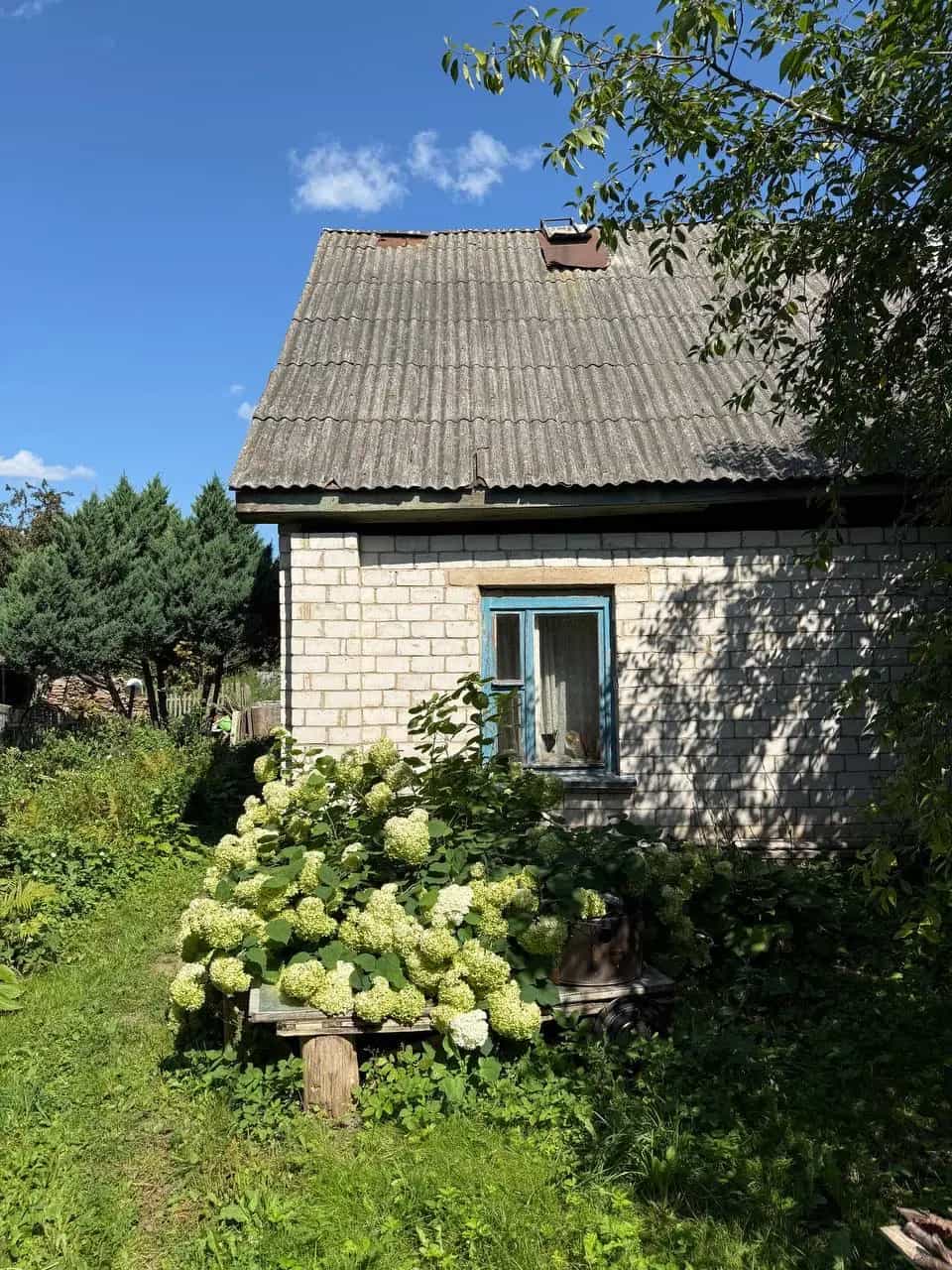 Беларусь, Витебская область, Орша, Дубровенская улица, 30, фото 2