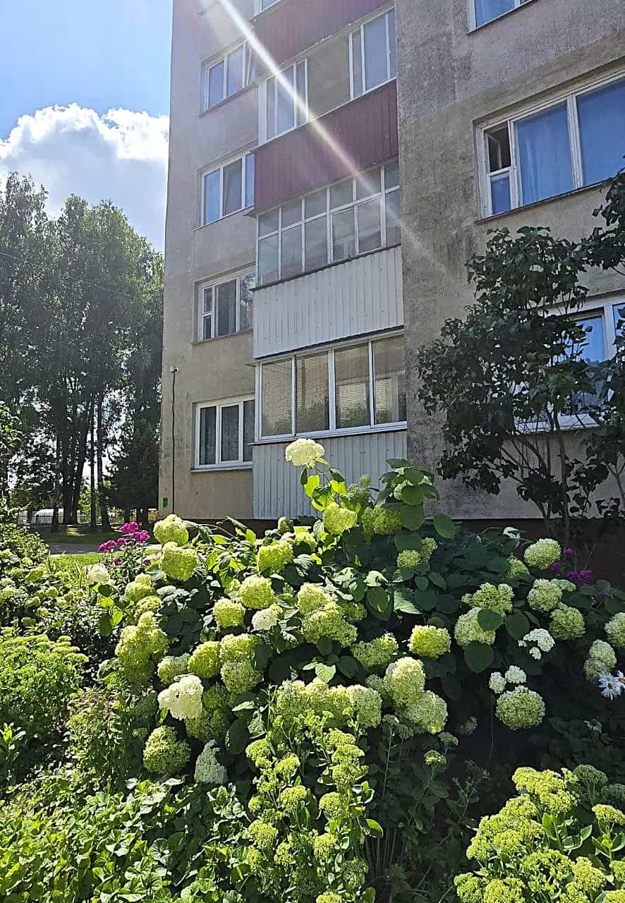 Беларусь, Витебский район, Мазоловский сельсовет, деревня Лужесно, Спортивная улица, 6