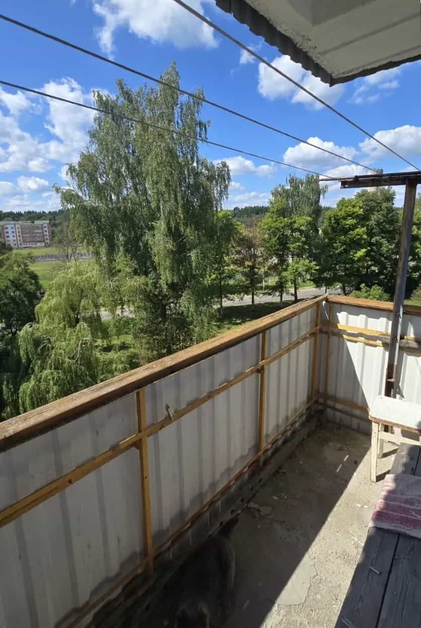 Беларусь, Витебский район, Мазоловский сельсовет, деревня Лужесно, Спортивная улица, 6, фото 4