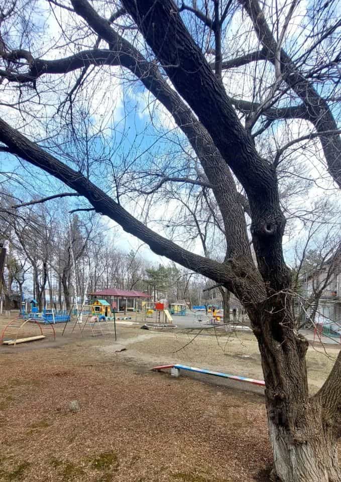 Россия, Приморский край, Уссурийский городской округ, посёлок Тимирязевский, улица Воложенина, 2, фото 12